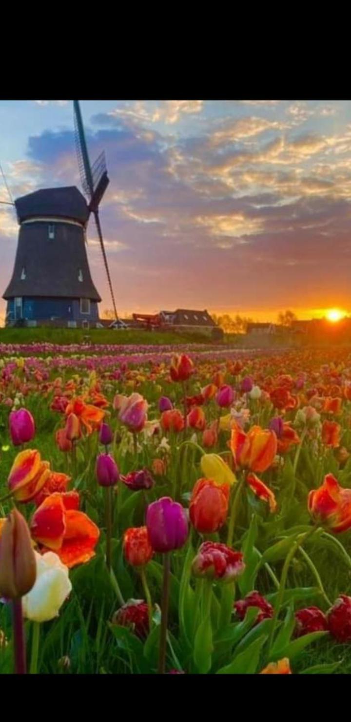 B&B Casandra Volendam Kültér fotó